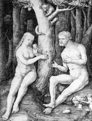 Adán y Eva, c.1506